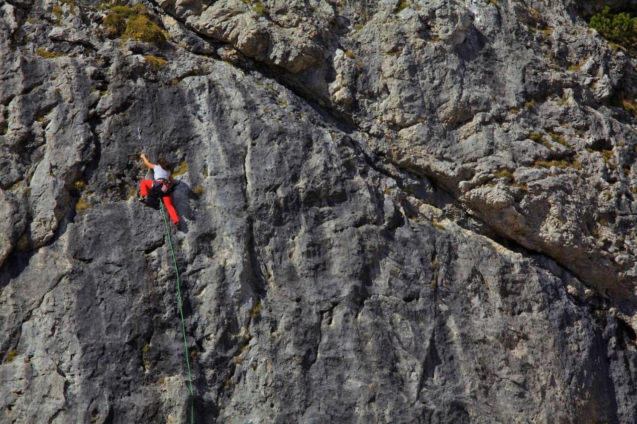 Appartamenti Codàn San Vito di Cadore Exterior foto